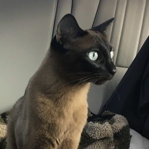 Meet your Posher, Kelli